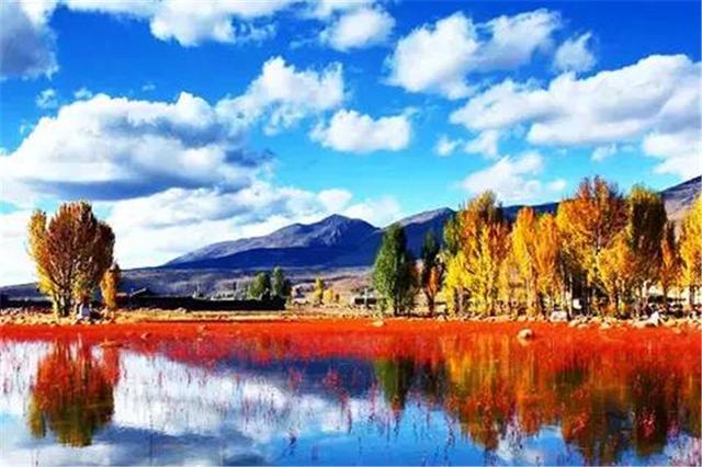 雙凱智能：說走就走旅行？有TA更輕松